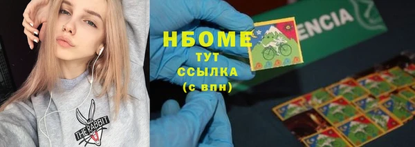 прущие грибы Армянск