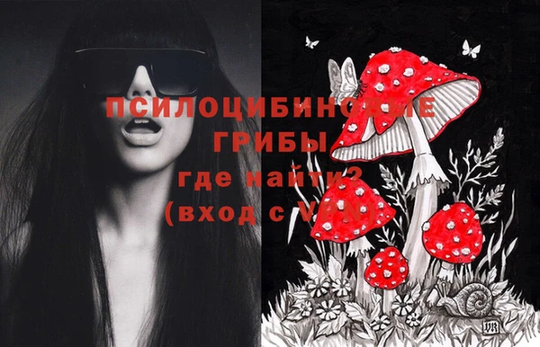соль курить ск Арсеньев