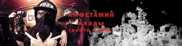 прущие грибы Армянск