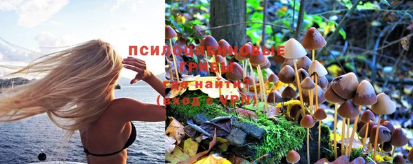 соль курить ск Арсеньев