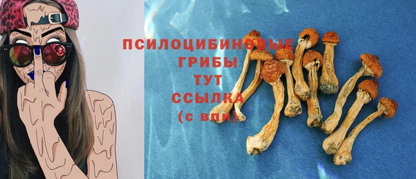 соль курить ск Арсеньев