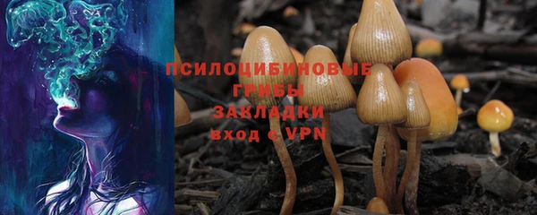 каннабис Аркадак