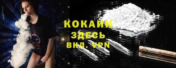 прущие грибы Армянск