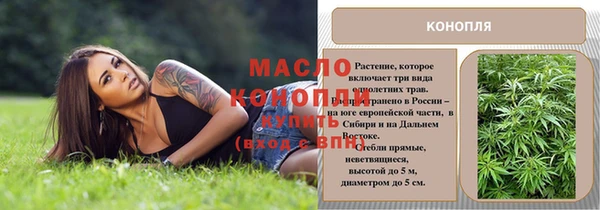прущие грибы Армянск