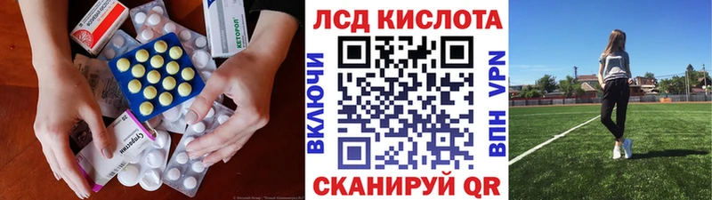 дарнет шоп  Озёры  ЛСД экстази кислота 