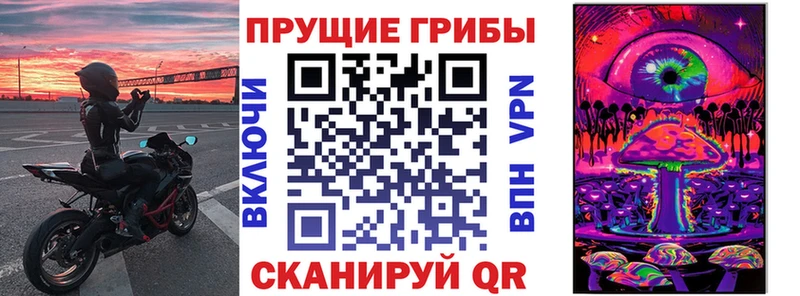 купить наркотик  kraken ссылки  Псилоцибиновые грибы ЛСД  Озёры 